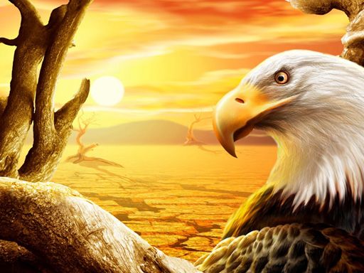 Eagle Slide Eagle Slide - browser game screenshot