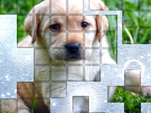 PicPu Dog PicPu Dog - browser game screenshot
