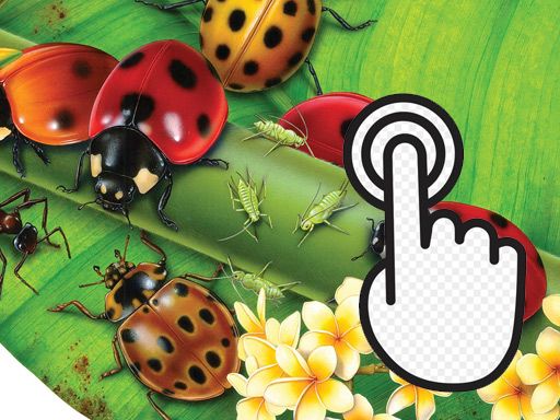 Ladybug Clicker - browser game screenshot