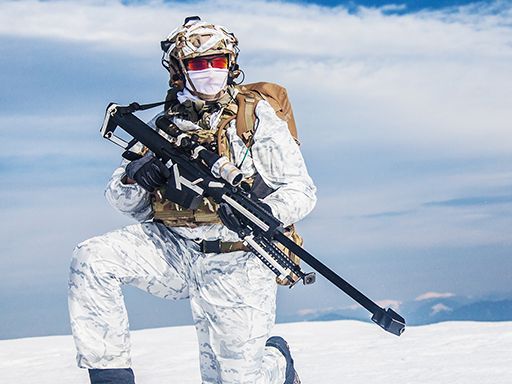 Snow Sniper - browser game screenshot